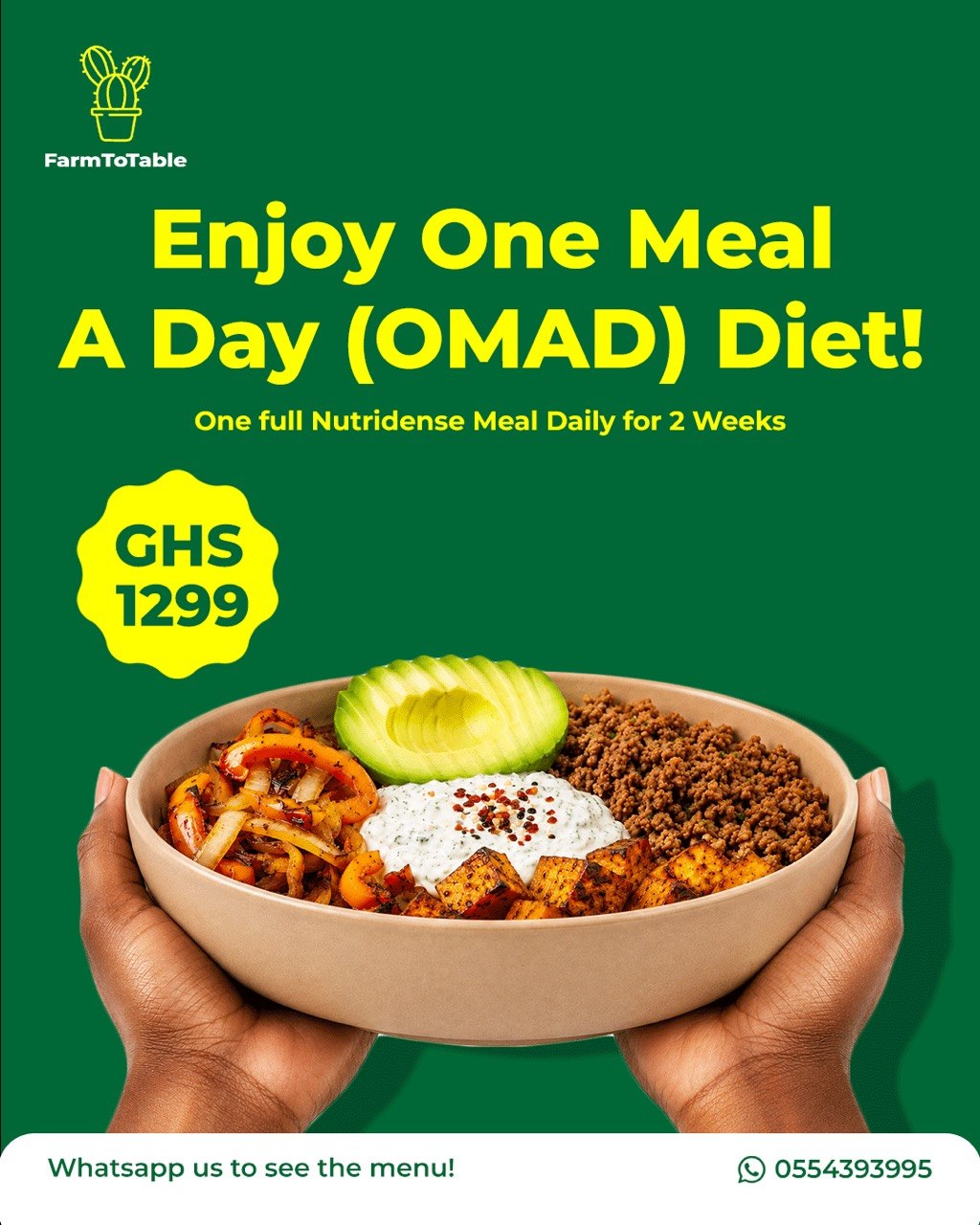 OMAD Plan Meal